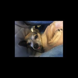 Meet your Posher, Sharon